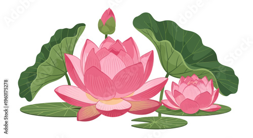 Pink Lotus Flowers and Lily Pads - Serene Aquatic Floral Arrangement