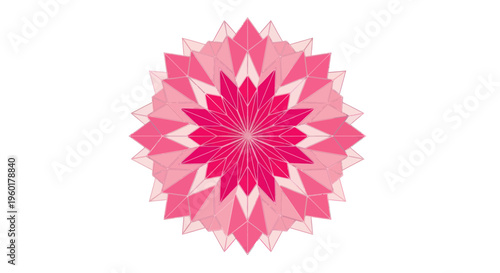 Geometric Pink Mandala Flower on White Background
