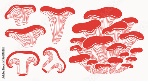 Red Mushroom Illustrations - Organic Shapes and Fungi Patterns