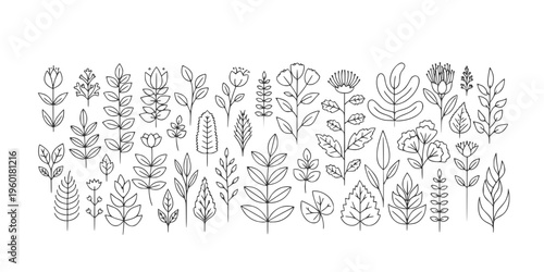 Collection of black botanical silhouettes featuring a leafy branch, flower buds, wheat ear, stem, and sprout, representing various forms of plant life in a minimalist graphic style