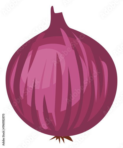 Whole red onion isolated on white background, fresh vegetable ingredient for cooking, vector illustration