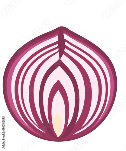 Whole red onion isolated on white background, fresh vegetable ingredient for cooking, vector illustration
