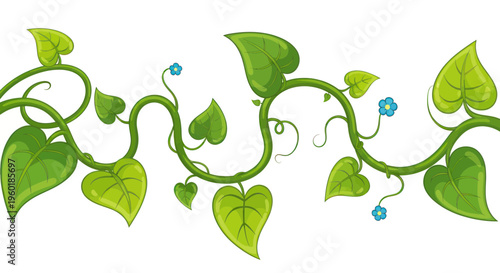 Green vine with heart-shaped leaves and small blue flowers on white background