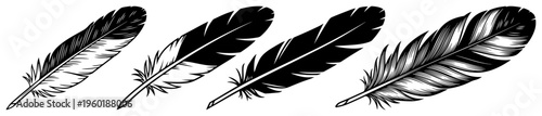 Bird feather and quill pen silhouette collection set for elegant writing ink and natural wing decoration