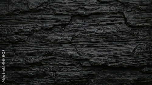 Layered black rock or bark texture with horizontal stratified organic structure and deep shadow detail