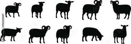 Sheep and ram silhouettes collection, farm animal poses set, livestock illustration, isolated vector sheep, agriculture farming animals, rural countryside design bundle