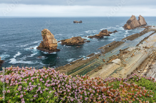 Scenic view of Urros de Liencres in Costa Quebrada, Cantabria, Spain, featuring wildflowers in the foreground on a cloudy summer day.