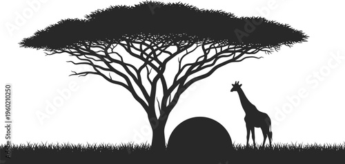 Serene african sunset silhouette with giraffe under tree