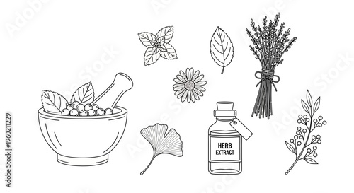 Hand-drawn natural medicine illustrations, botanical herbs, organic extract, wellness ingredients, mortar and pestle line art