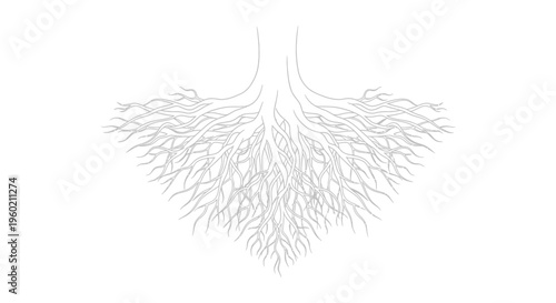 Organic tree roots illustration showing a detailed underground network, natural growth, strength, and ecological foundation concept.