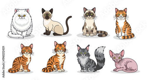 Collection of Diverse Cat Breeds Sitting, Realistic Vector Illustrations