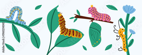 Cute caterpillars collection. Colorful garden set with larvae, leaves and nature elements for kids design. Vector illustration isolated on white background.