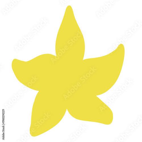 Cute Flower Star Shape Icon Flat Vector Illustration, Abstract Doodle Style