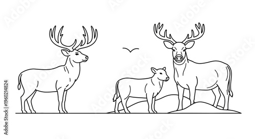 Minimalist Line Art Vector Illustration of a Deer Family with Majestic Stags and a Young Fawn, Wildlife Outline Drawing