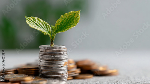 積み上げられたコインの山から力強く芽吹く緑の若葉