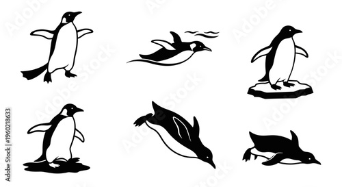 Black and white graphic penguin illustrations in various poses