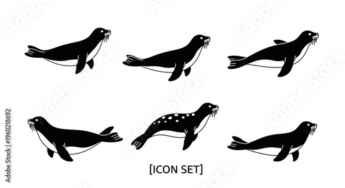 Black and white seal and sea lion icon set