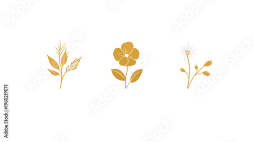 Three simple botanical illustrations featuring a leafy sprig, a bloom, and a flower with buds