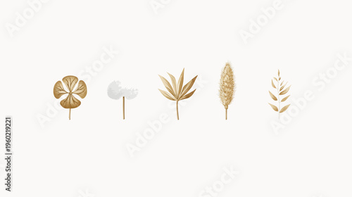 A collection of watercolor illustrations featuring various dried floral elements arranged on a white backdrop