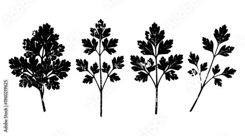 Four black silhouettes of plants with leafy branches and stems