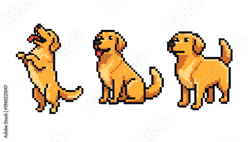 Golden Retriever Dog Pixel Art Set in Different Poses Standing and Sitting