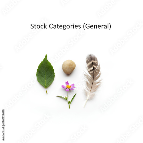 Stock categories leaf flower nut and feather representing natures beauty and diversity.