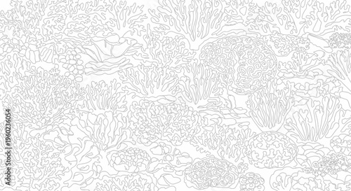 Detailed Seamless Line Art Pattern of a Coral Reef Ecosystem. Abstract Underwater Marine Life Drawing. Monochrome Vector Illustration