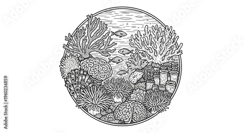 Intricate black and white line art illustration of a coral reef ecosystem with fish and marine life in a circular frame.
