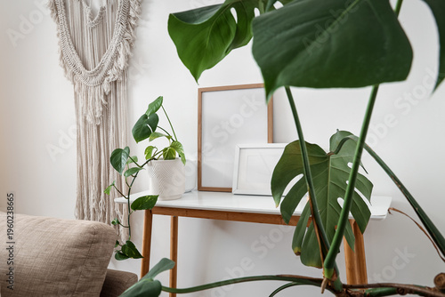 Green plant with blank fram...