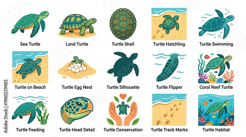 Collection of illustrations depicting various aspects of turtles, including different species, life stages, habitats, and conservation efforts.
