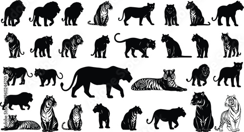 Comprehensive collection of black and white vector silhouettes and detailed line art illustrations featuring wild big cats including lions tigers and panthers isolated on a white background.