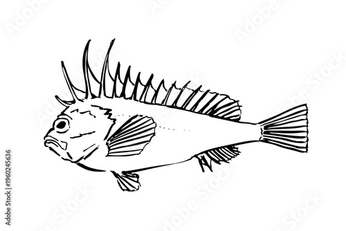 Devil stinger fish ink brush illustration side view simple line art vector