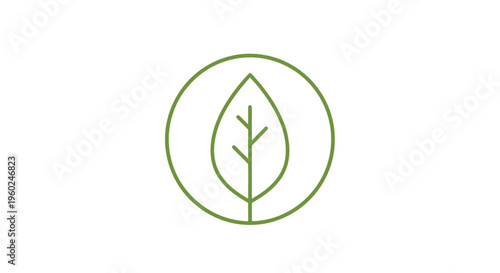Green leaf logo eco symbol.
