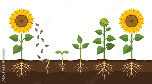 Collection of barber shop tools and accessories, including scissors, combs, and a barber pole