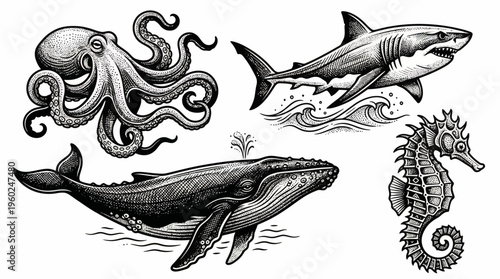 Artistic Engraved Marine Life Set with Octopus, Shark, Whale, Seahorse Illustrations for Vintage Nature Designs