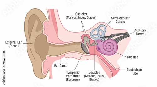 Classic Barber Shop Essentials Collection Vintage Tools and Grooming Equipment Set