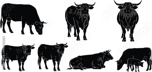 Collection of black cow and bull silhouettes in various poses including grazing standing and lying down on white background