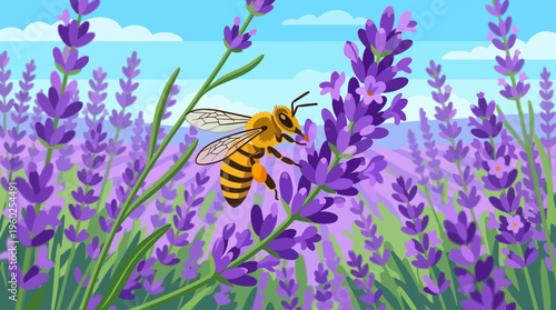 Bee Collecting Pollen on Lavender Flowers in Field