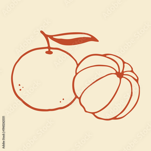Hand drawn vector illustration of a whole mandarin with a leaf and a peeled segment fruit. This minimalist citrus line art is ideal for organic juice packaging and healthy snack themed designs