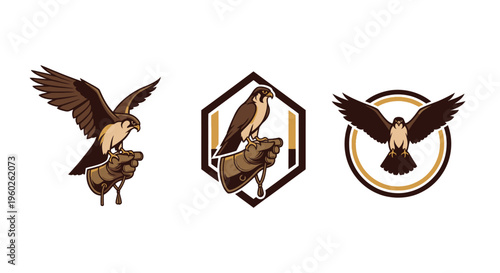 Falconry Emblem Set: Bird of Prey Icons on Hand, Hexagon, and Circle Backgrounds
