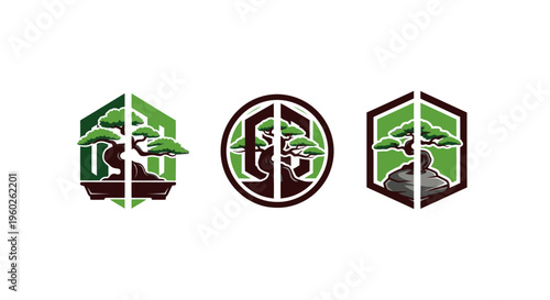 Bonsai Tree Logo Designs: Hexagonal and Circular Emblems