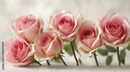 Soft Pink Roses in a Gentle Arrangement.