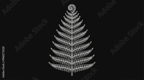 Detailed illustration of a fern.
