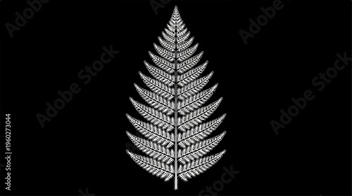 Detailed illustration of fern leaf.