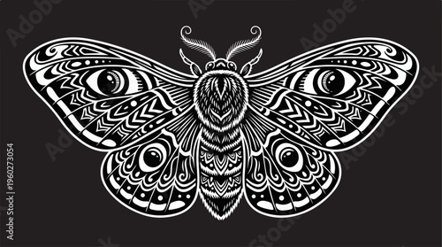 Detailed Moth Illustration Artwork.