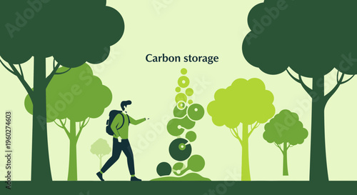 Forest Carbon Sequestration Process Visualized With Person And Trees