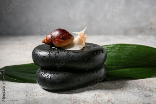 Snail, spa stones and leaf ...