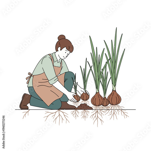 Gardener Cultivating Fresh Onions In The Soil
