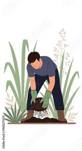 Gardener Tending To A Healthy Plant Root System In Soft Soil