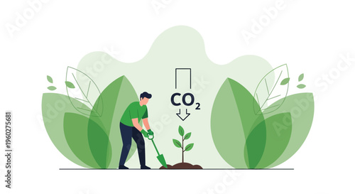 Gardener Plants Sapling Absorbing Carbon Dioxide For Environmental Protection